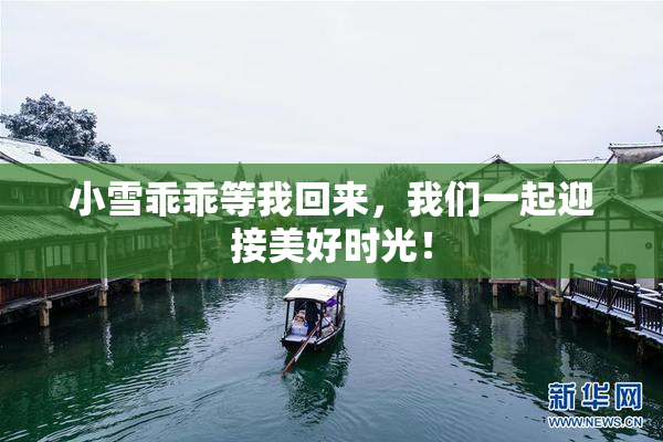 小雪乖乖等我回来，我们一起迎接美好时光！