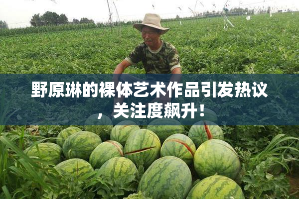 野原琳的裸体艺术作品引发热议，关注度飙升！