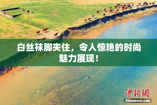 白丝袜脚夹住，令人惊艳的时尚魅力展现！