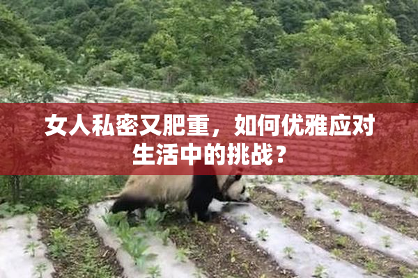 女人私密又肥重，如何优雅应对生活中的挑战？