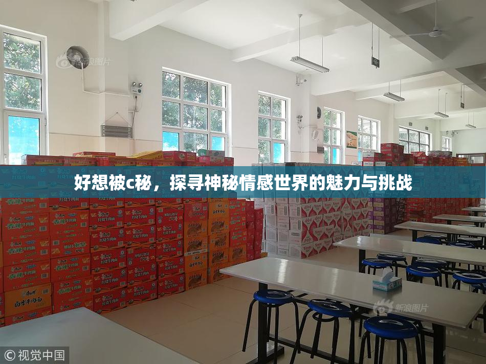 好想被c秘，探寻神秘情感世界的魅力与挑战