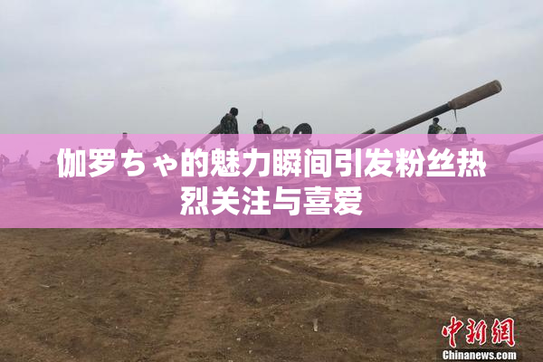 伽罗ちゃ的魅力瞬间引发粉丝热烈关注与喜爱
