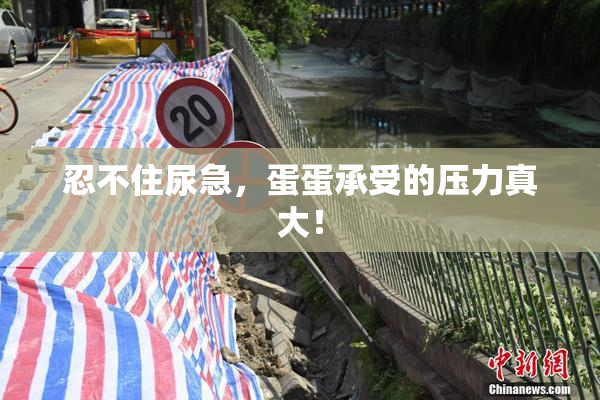 忍不住尿急，蛋蛋承受的压力真大！