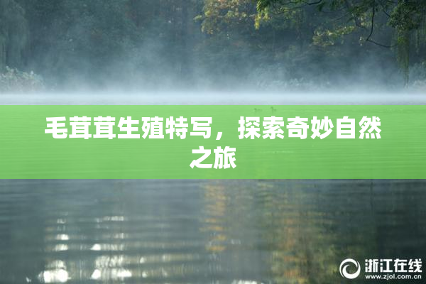 毛茸茸生殖特写，探索奇妙自然之旅