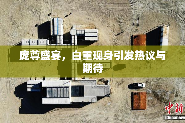 庞尊盛宴，白重现身引发热议与期待