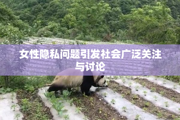 女性隐私问题引发社会广泛关注与讨论