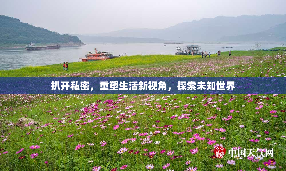 扒开私密，重塑生活新视角，探索未知世界