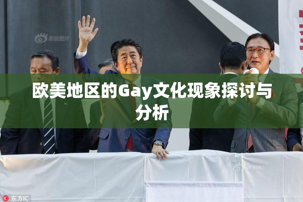欧美地区的Gay文化现象探讨与分析