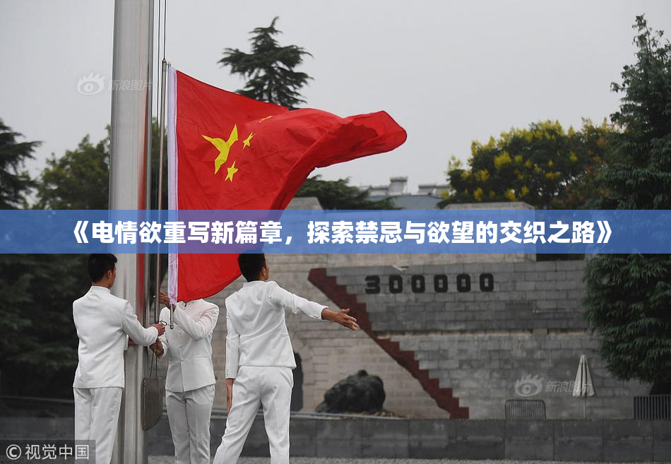 《电情欲重写新篇章，探索禁忌与欲望的交织之路》