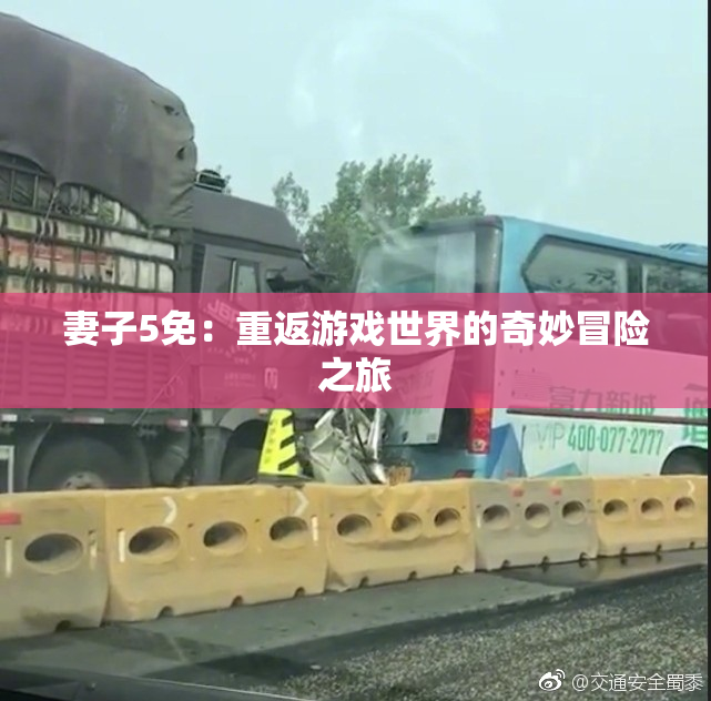 妻子5免：重返游戏世界的奇妙冒险之旅