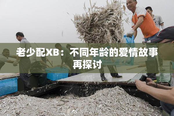 老少配XB：不同年龄的爱情故事再探讨