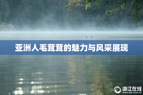 亚洲人毛茸茸的魅力与风采展现