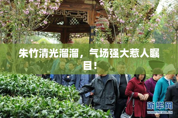 朱竹清光溜溜，气场强大惹人瞩目！