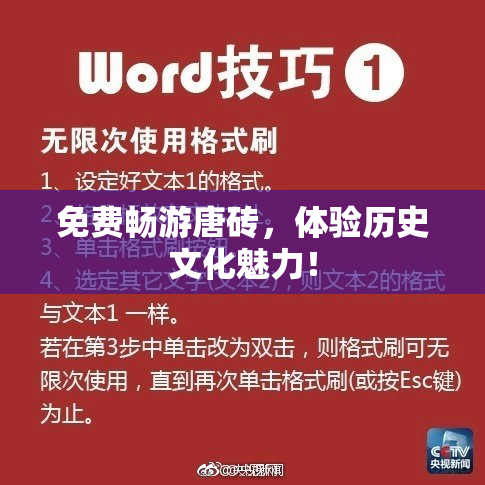 免费畅游唐砖，体验历史文化魅力！