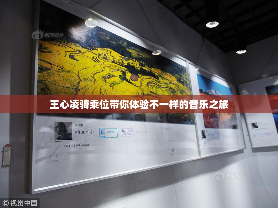 王心凌骑乘位带你体验不一样的音乐之旅