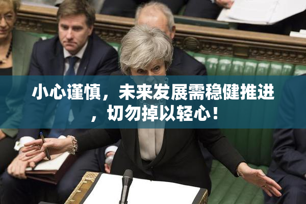 小心谨慎，未来发展需稳健推进，切勿掉以轻心！