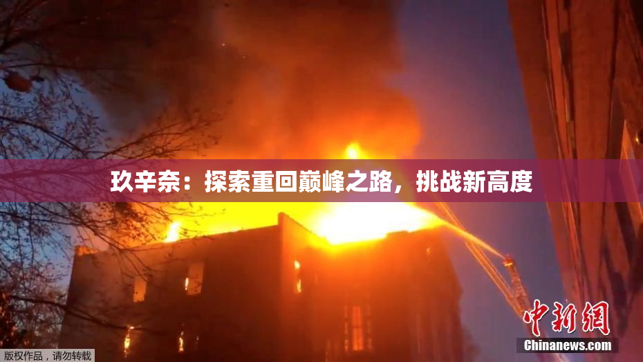 玖辛奈：探索重回巅峰之路，挑战新高度