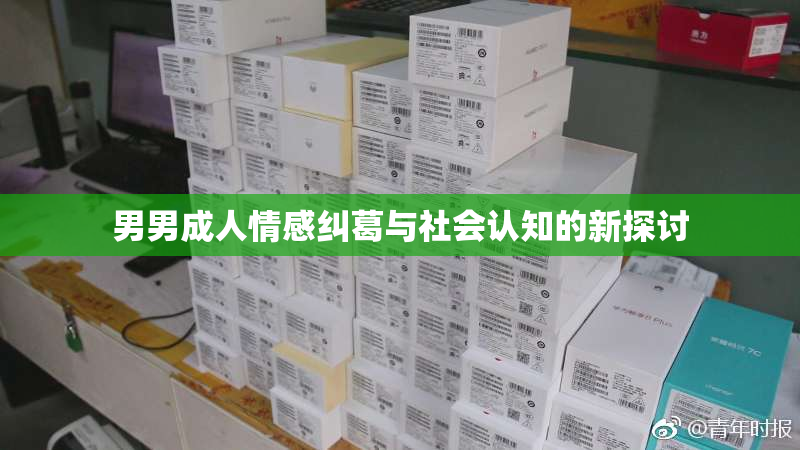 男男成人情感纠葛与社会认知的新探讨