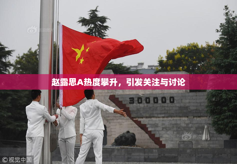 赵露思A热度攀升，引发关注与讨论