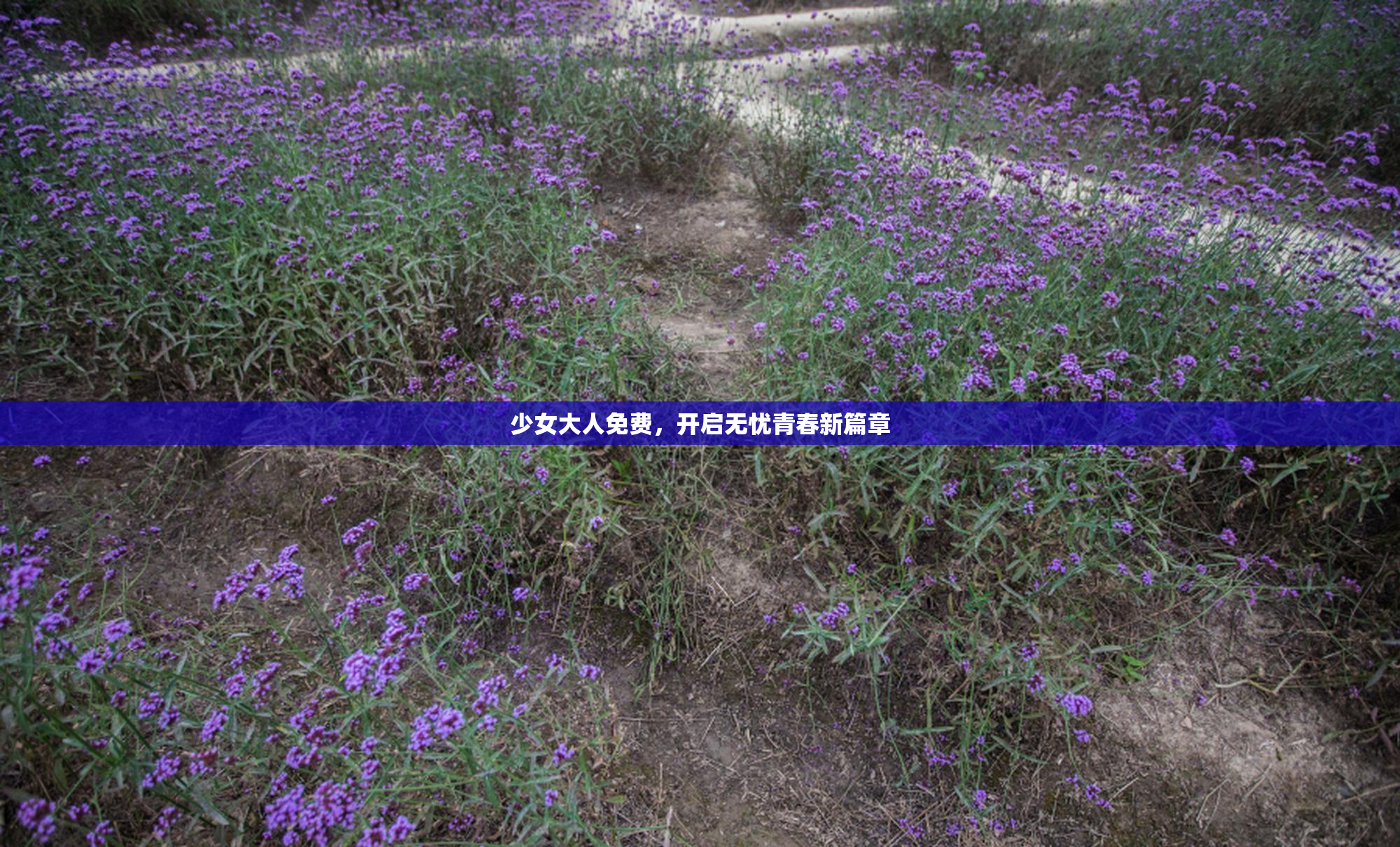 少女大人免费，开启无忧青春新篇章