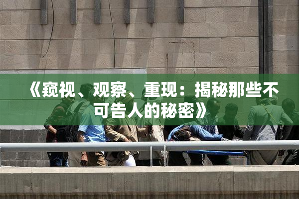 《窥视、观察、重现：揭秘那些不可告人的秘密》
