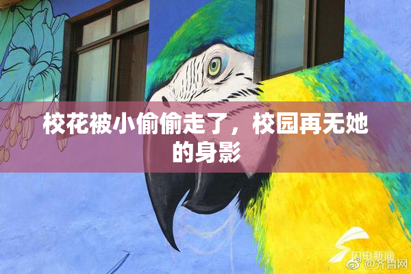 校花被小偷偷走了，校园再无她的身影