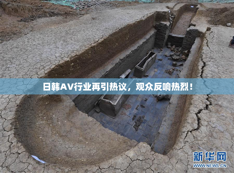 日韩AV行业再引热议，观众反响热烈！