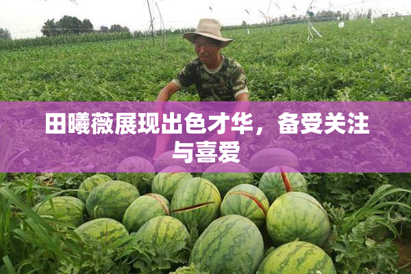 田曦薇展现出色才华，备受关注与喜爱