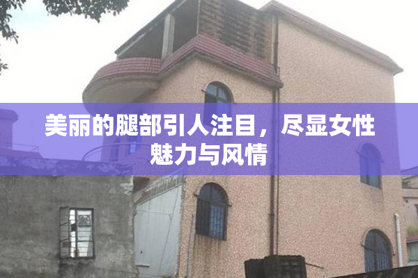 美丽的腿部引人注目，尽显女性魅力与风情