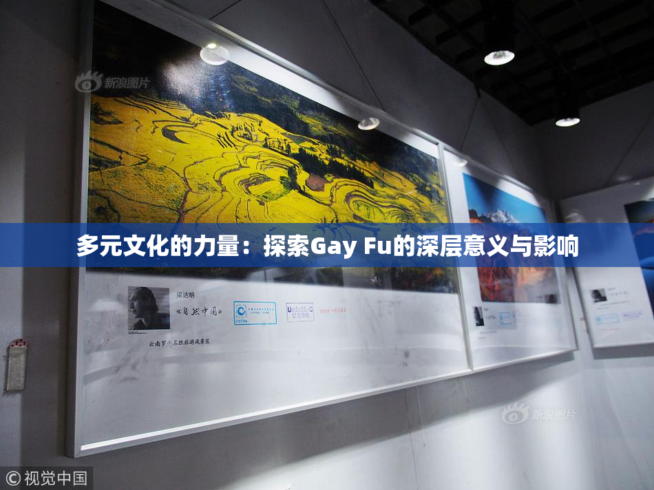 多元文化的力量：探索Gay Fu的深层意义与影响