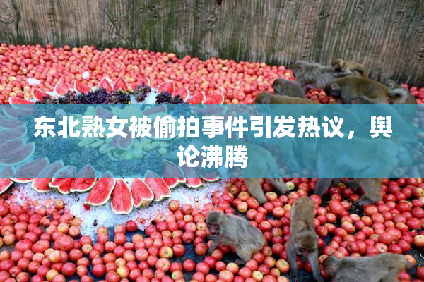 东北熟女被偷拍事件引发热议，舆论沸腾