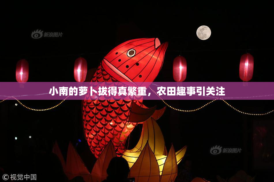 小南的萝卜拔得真繁重，农田趣事引关注