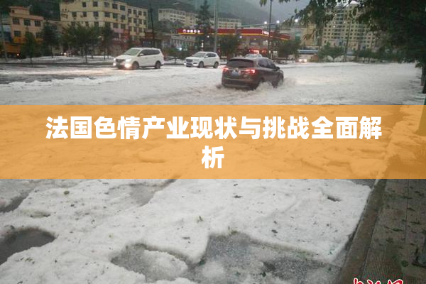 法国色情产业现状与挑战全面解析