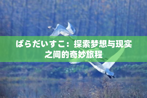 ぱらだいすこ：探索梦想与现实之间的奇妙旅程