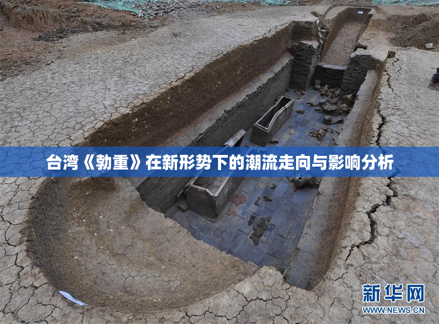台湾《勃重》在新形势下的潮流走向与影响分析