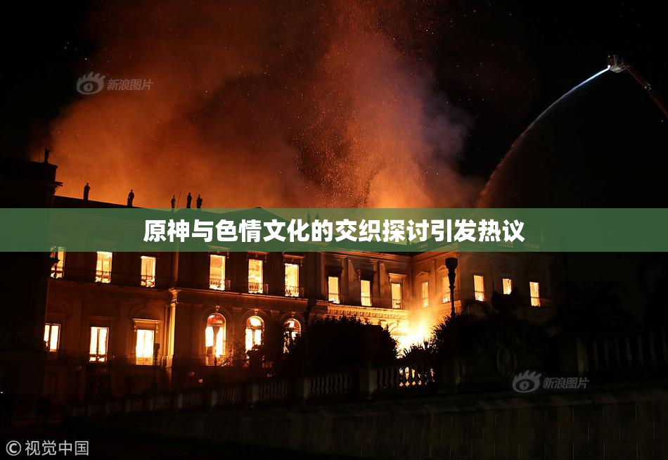 原神与色情文化的交织探讨引发热议