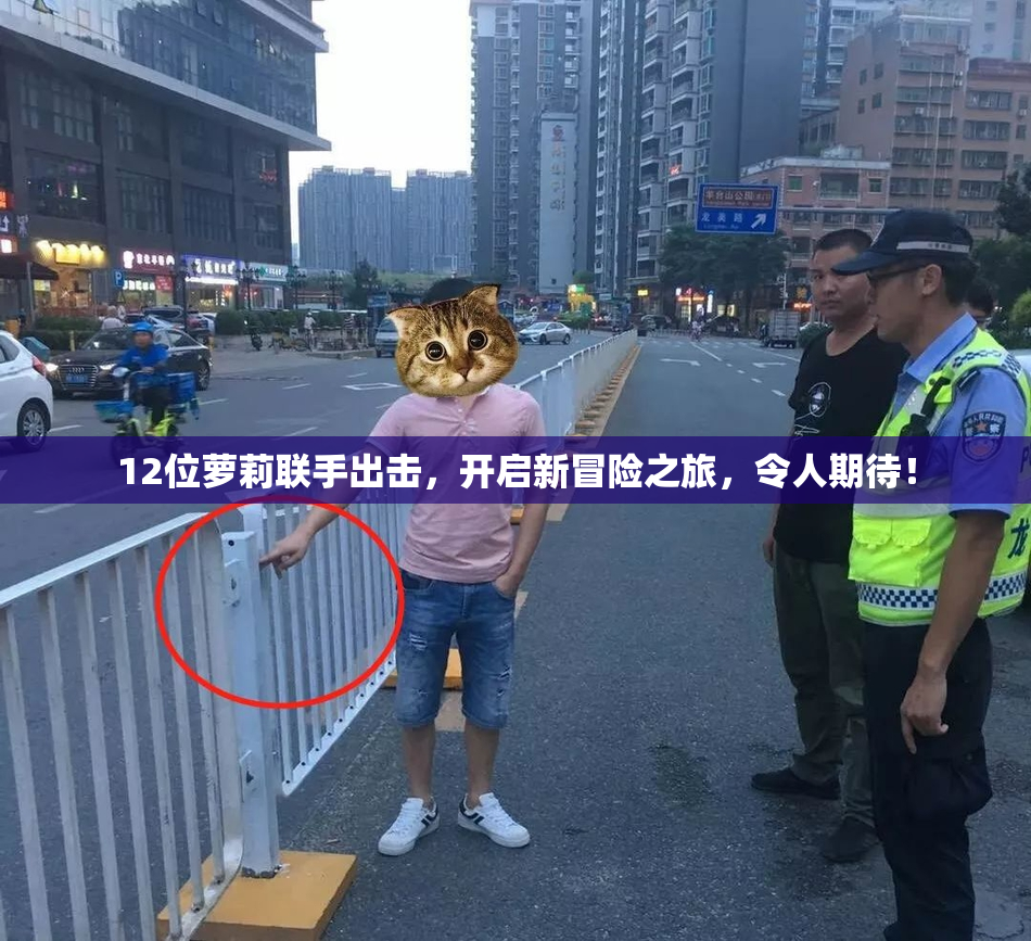 12位萝莉联手出击，开启新冒险之旅，令人期待！