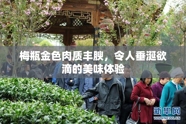 梅瓶金色肉质丰腴，令人垂涎欲滴的美味体验
