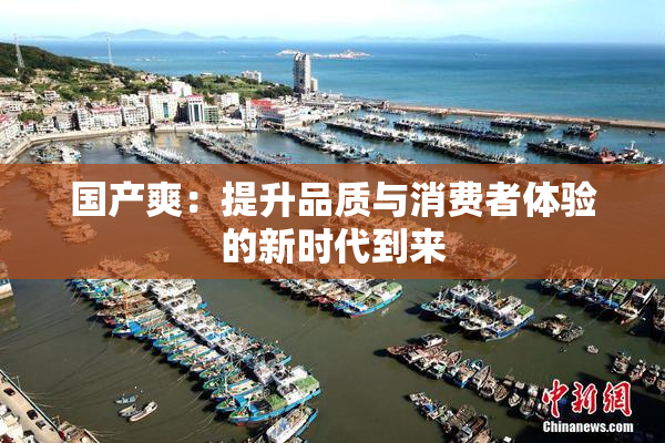 国产爽：提升品质与消费者体验的新时代到来