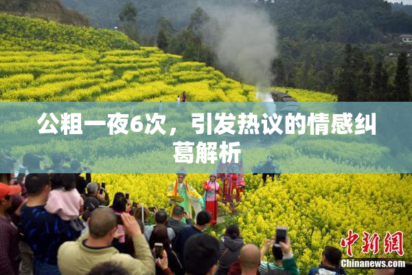 公粗一夜6次，引发热议的情感纠葛解析