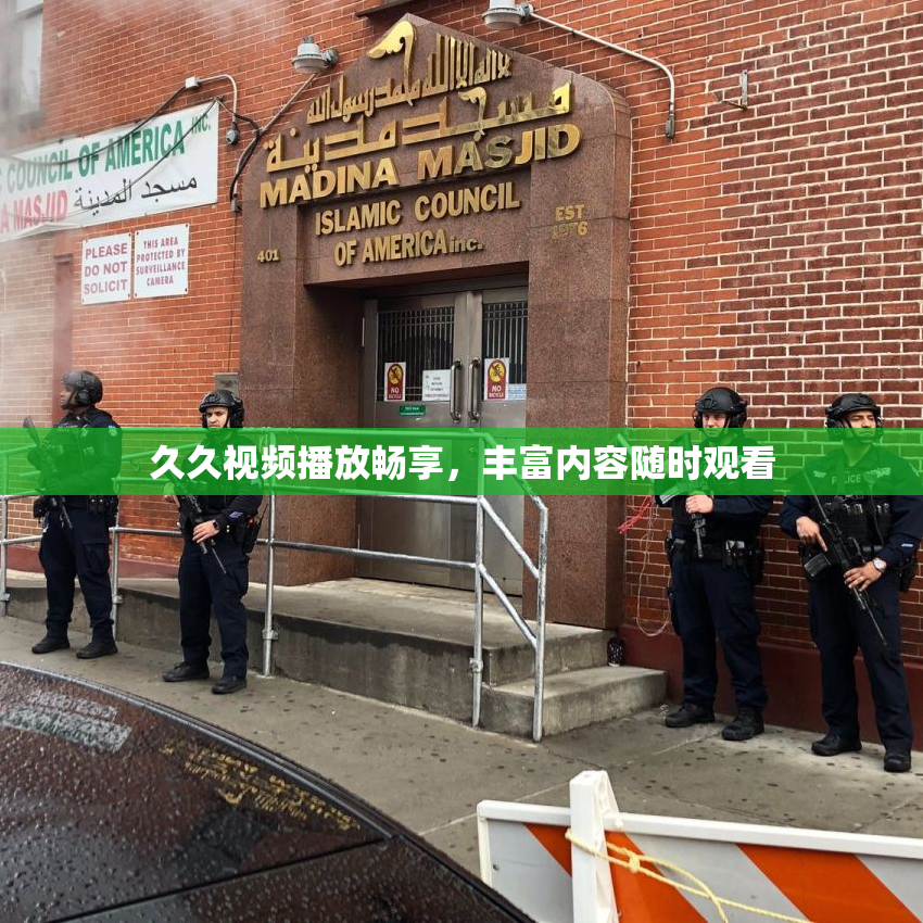 久久视频播放畅享，丰富内容随时观看