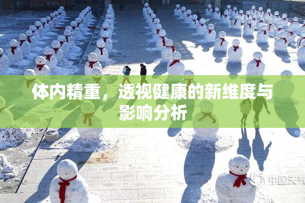 体内精重，透视健康的新维度与影响分析