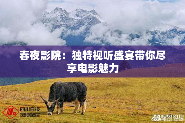 春夜影院：独特视听盛宴带你尽享电影魅力
