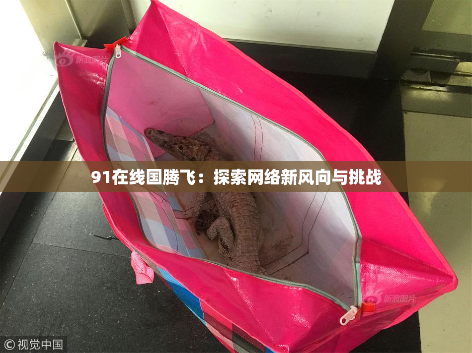 91在线国腾飞：探索网络新风向与挑战