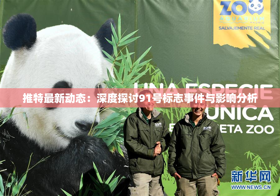 推特最新动态：深度探讨91号标志事件与影响分析