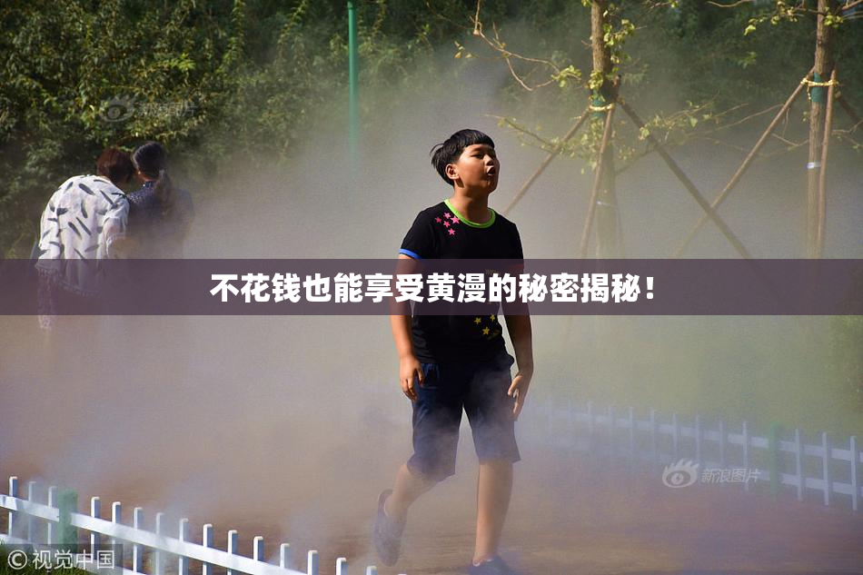 不花钱也能享受黄漫的秘密揭秘！