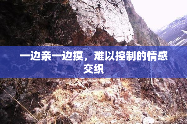 一边亲一边摸，难以控制的情感交织