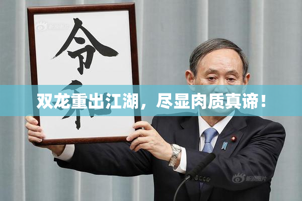 双龙重出江湖，尽显肉质真谛！