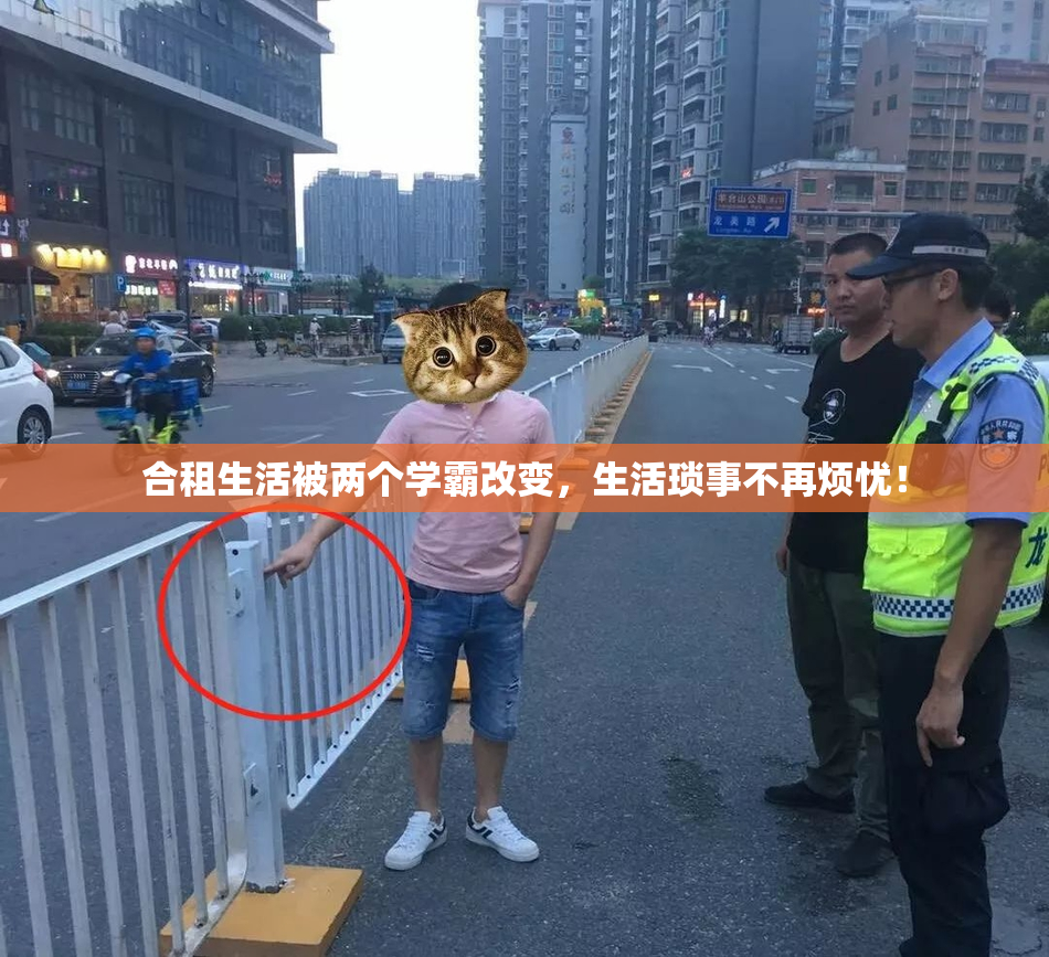 合租生活被两个学霸改变，生活琐事不再烦忧！