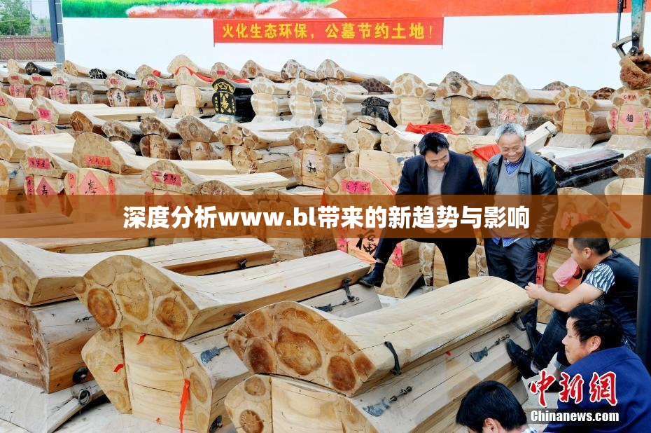 深度分析www.bl带来的新趋势与影响